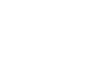 Race logo